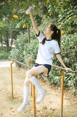 高清电影大全免费观看完整版