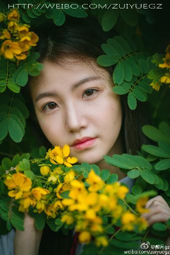 青楼十二房在线观看免费版电视剧全集